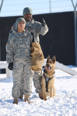 Bite training at Bondsteel