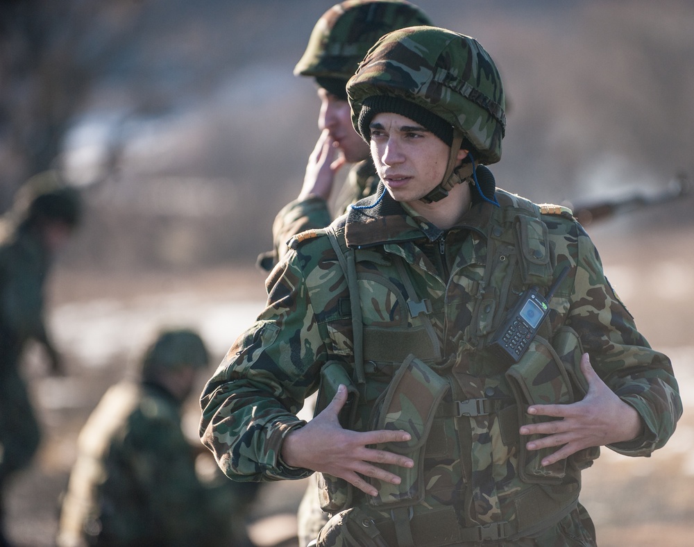 A Bulgarian Soldier