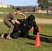Marines with 1st LEB and PMO feel the burn