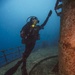 Joint UCT Diver Training