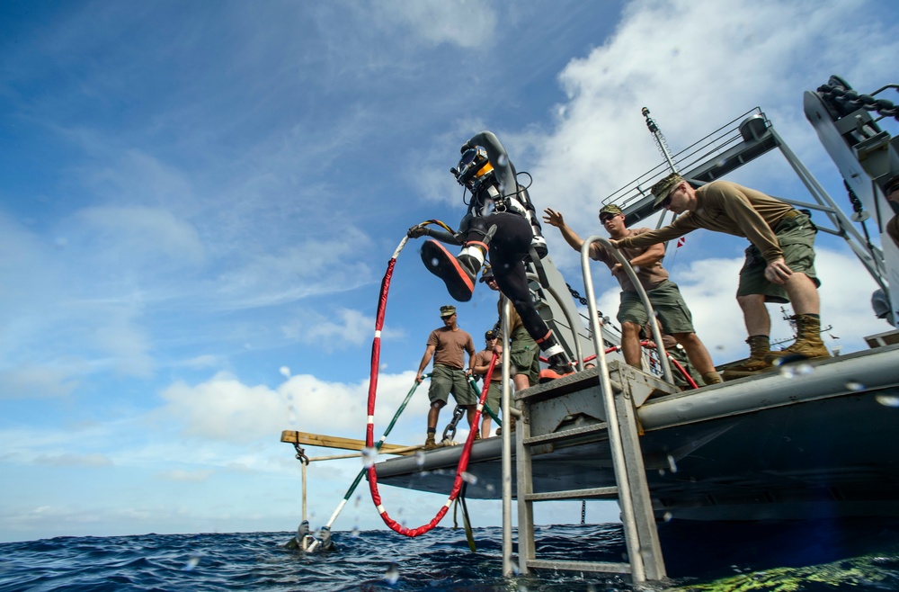 Joint UCT Diver Training