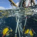 Joint UCT Diver Training