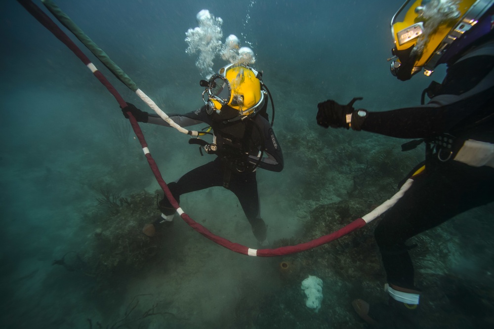 Joint UCT Diver Training