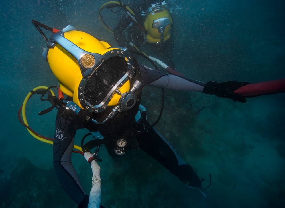 Joint UCT Diver Training