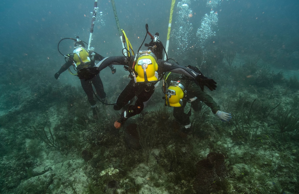 Joint UCT Diver Training