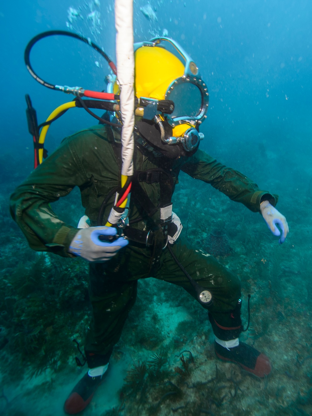 Joint UCT Diver Training