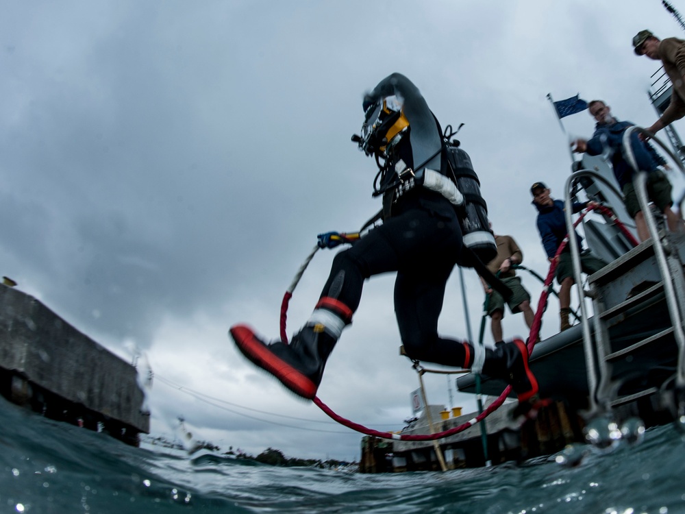 Joint UCT Diver Training