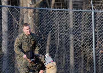 The dogs of Marine Corps Base Quantico Provost Marshal's Office demonstrate their skills
