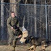 The dogs of Marine Corps Base Quantico Provost Marshal's Office demonstrate their skills