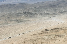 Arctic Wolves migrate deeper into the desert