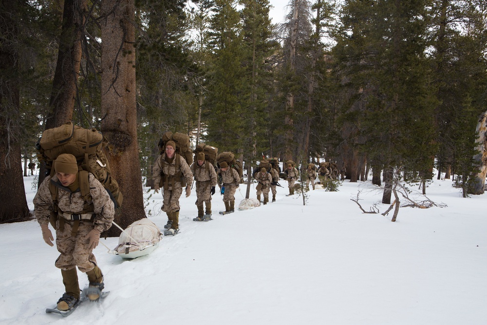 Boots On Snow