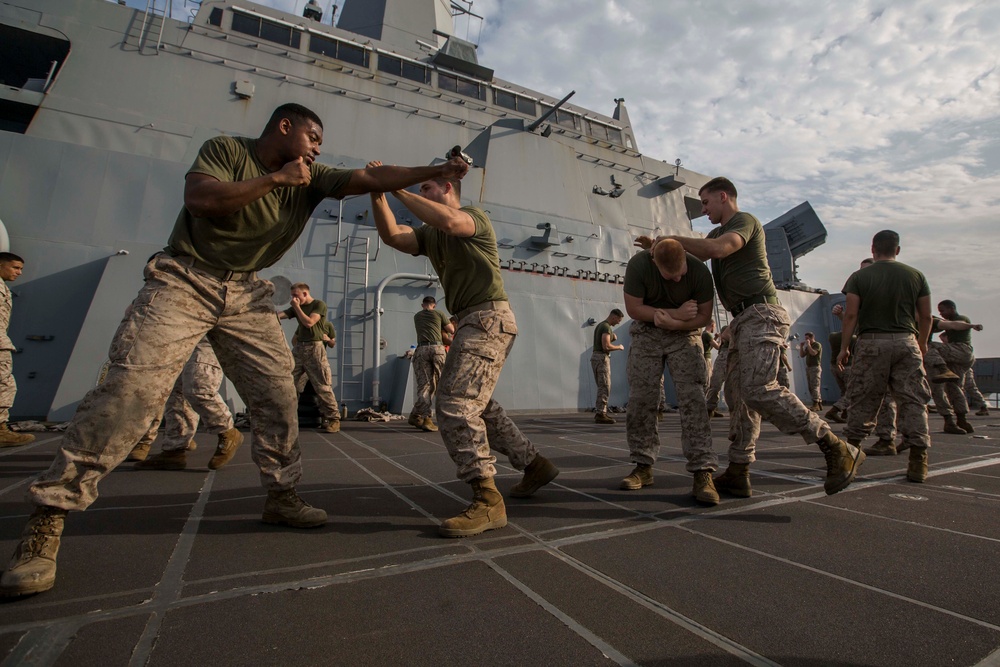 24th MEU Marine Corps Martial Arts Program