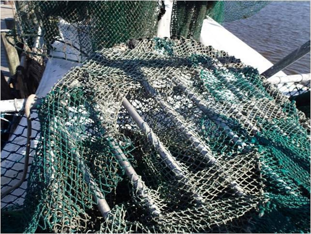 DVIDS - News - Coast Guard, National Marine Fisheries Service seize ...