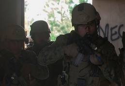 Swift, silent, deadly: 2nd Force Recon Co. breaks down the door