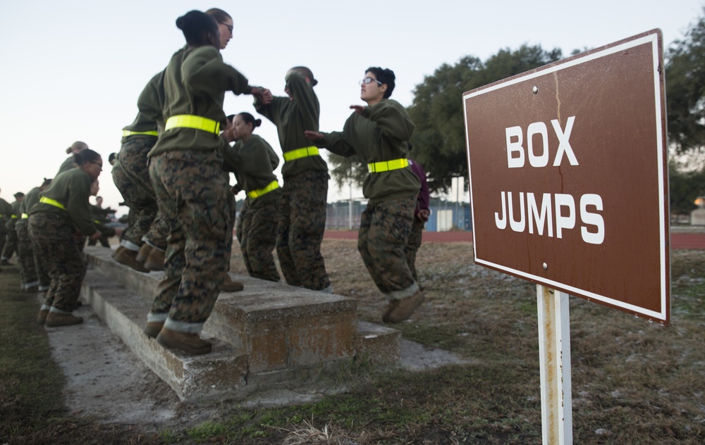 Parris Island recruits train for Marine Corps high fitness standards
