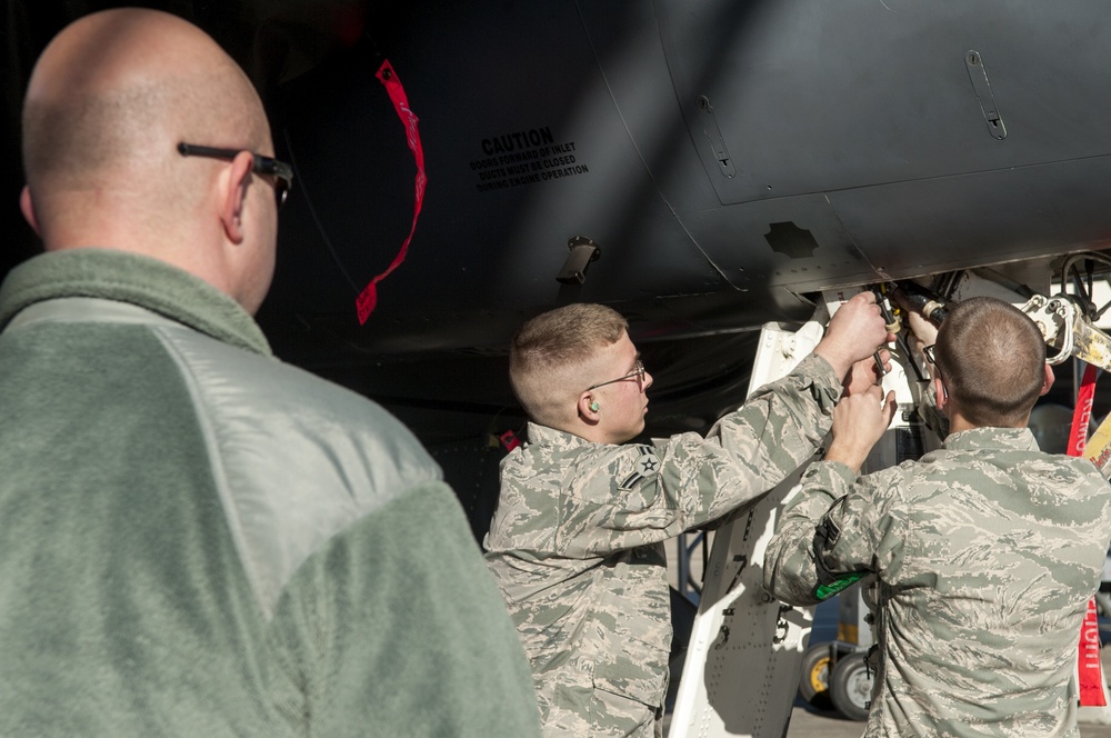 Maintainers show their skills during Dedicated Eagle Keeper competition