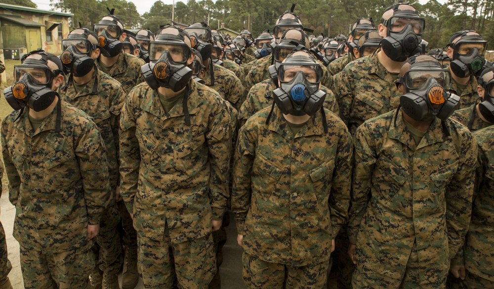 Photo Gallery: Marine recruits train in chemical warfare on Parris Island