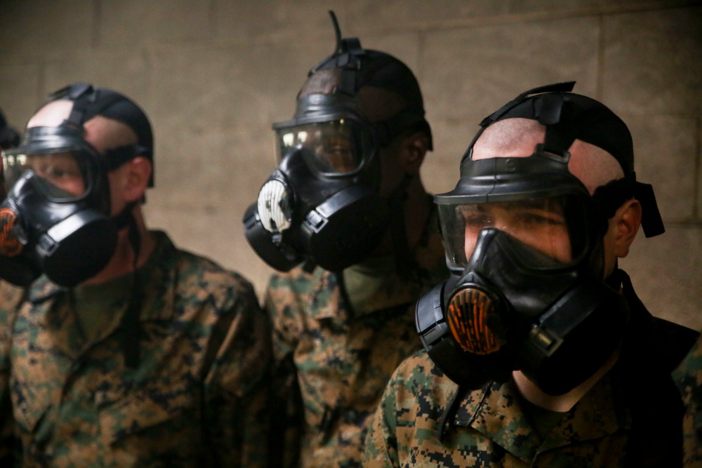 Dvids - Images - Photo Gallery: Marine Recruits Train In Chemical 