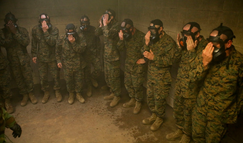 Photo Gallery: Marine recruits train in chemical warfare on Parris Island