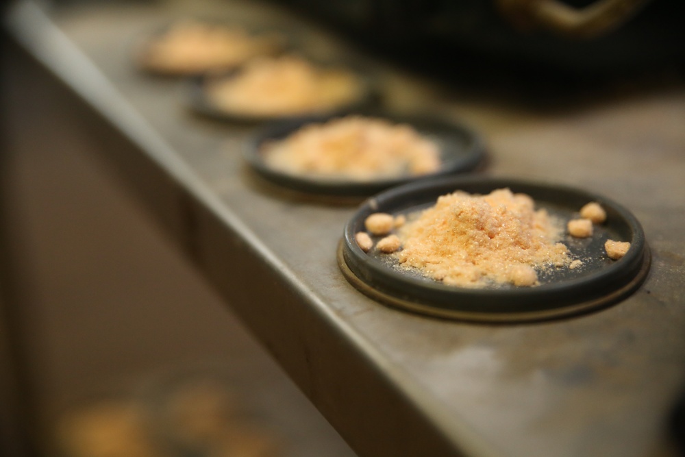 Photo Gallery: Marine recruits train in chemical warfare on Parris Island