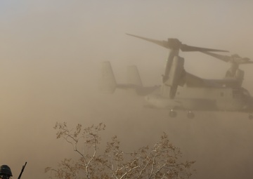 7th Regiment maintains combat readiness