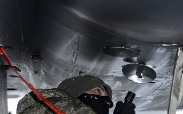 Snow falls on Liberty Wing