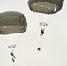 173rd Airborne Brigade training jump
