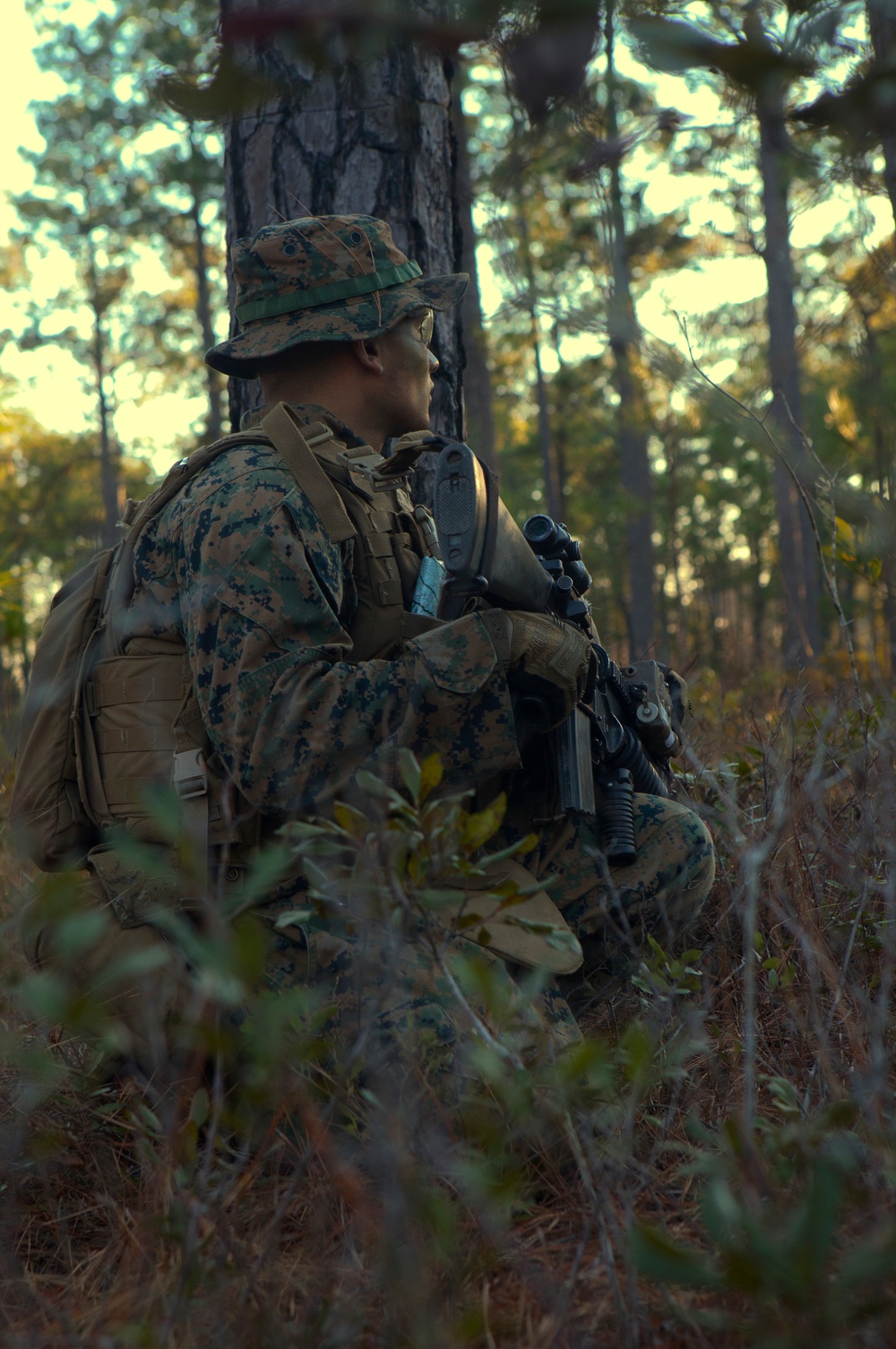 Combat ready: Marines with Lima Co. conduct patrol base exercise