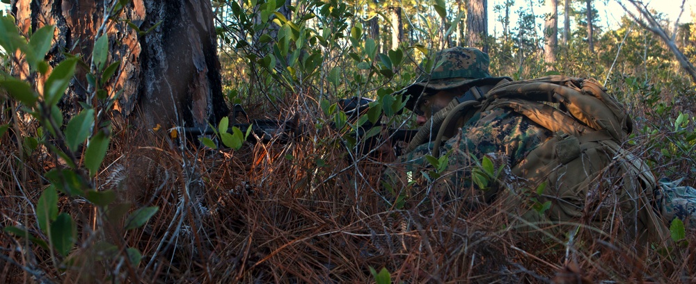 Combat ready: Marines with Lima Co. conduct patrol base exercise