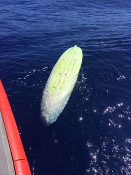 Guard searching for possible missing kayaker