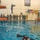 Combat Water Survival Test Combat Water Survival Test