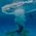 Combat Water Survival Test Combat Water Survival Test