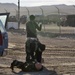 Fort Irwin, National Training Center Decisive Action Rotation 15-03