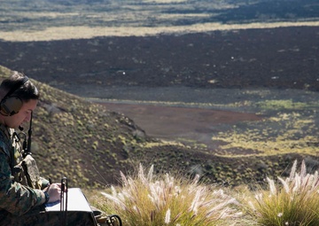 5th ANGLICO calls fire support at Lava Viper 15.1-2