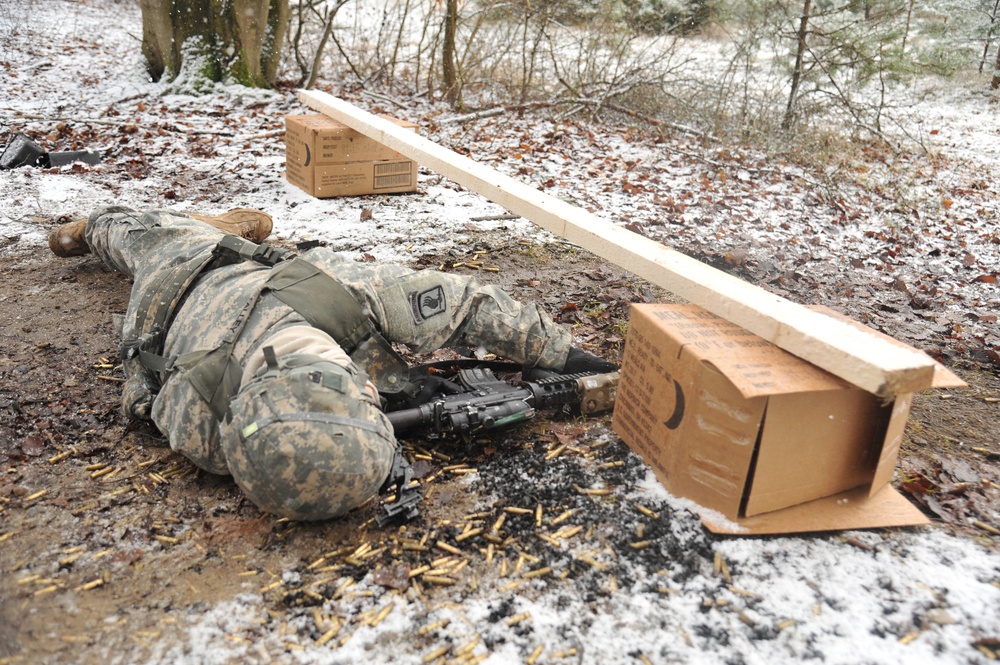 1-91 CAV weapons qualification with German partners