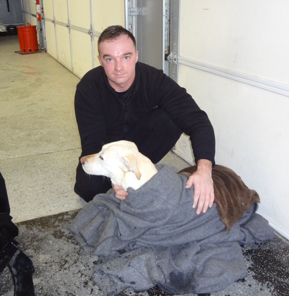 Frankfort Michigan crew rescues dog from icy Betsie Bay near Frankfort Shipping Channel