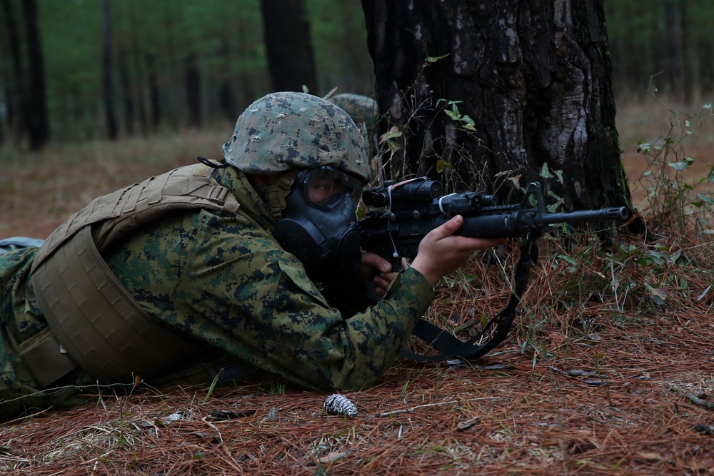 2nd Assault Amphibious Battalion faces harsh weather, enemy forces during field exercise