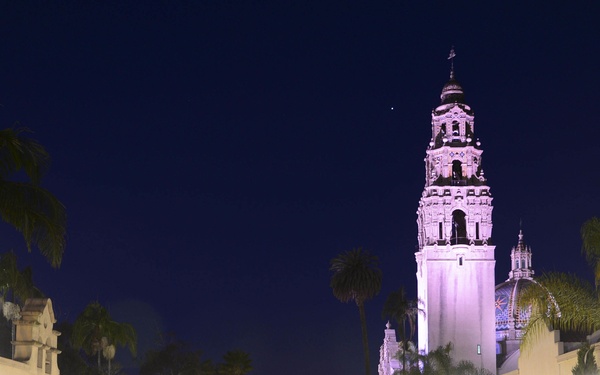 Command physical training