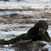 US and Lithuanian training