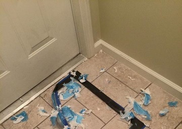 Commentary: My crash course in puppy parenting