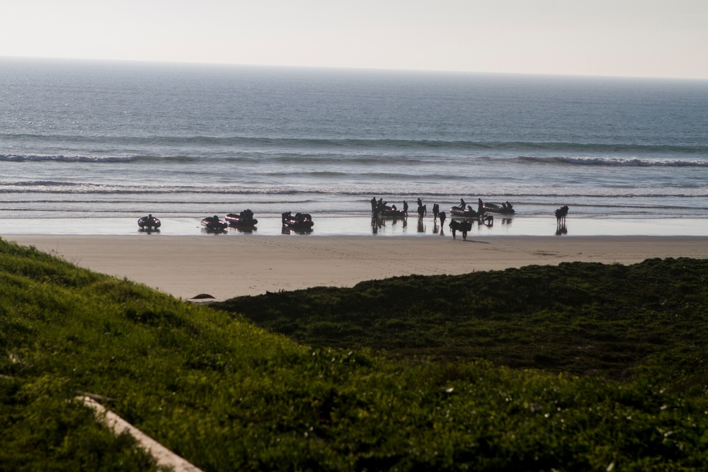 Marines and Japanese soldiers participate in amphibious raid training during Iron Fist 2015