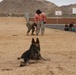 K-9 unit demonstrates skills at Joshua Tree Elementary