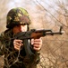 Marines and Romanians patrol and ambush in Platinum Lion exercise