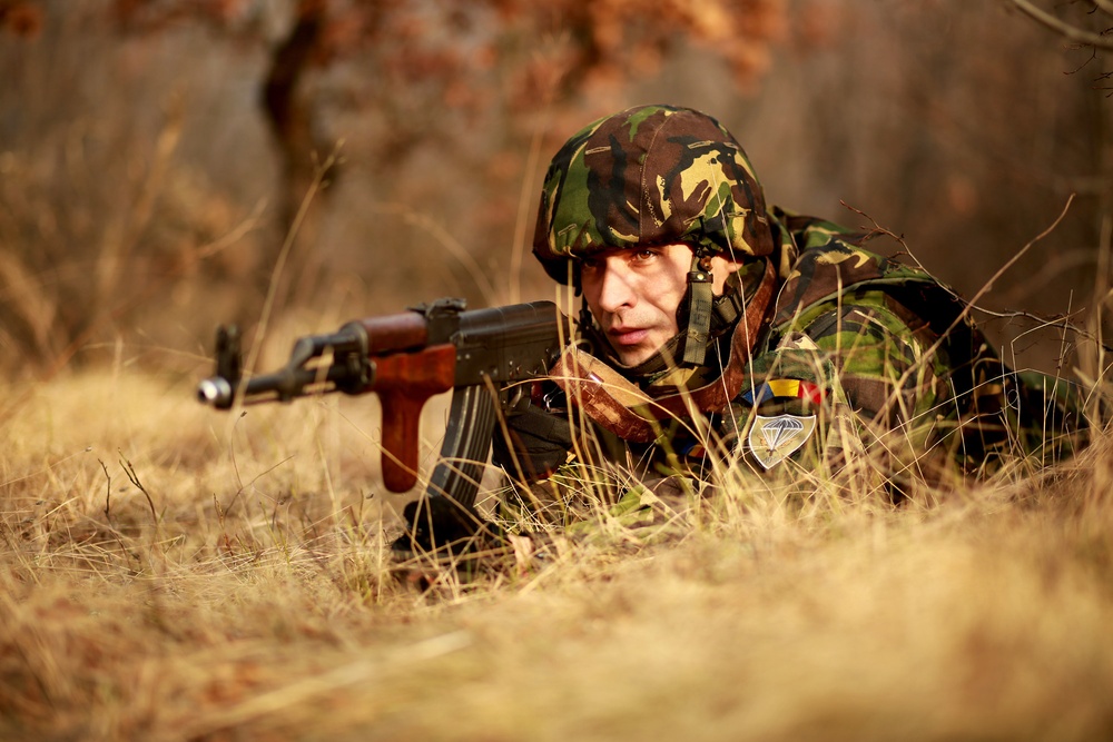 Marines and Romanians patrol and ambush in Platinum Lion exercise
