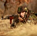 Marines and Romanians patrol and ambush in Platinum Lion exercise