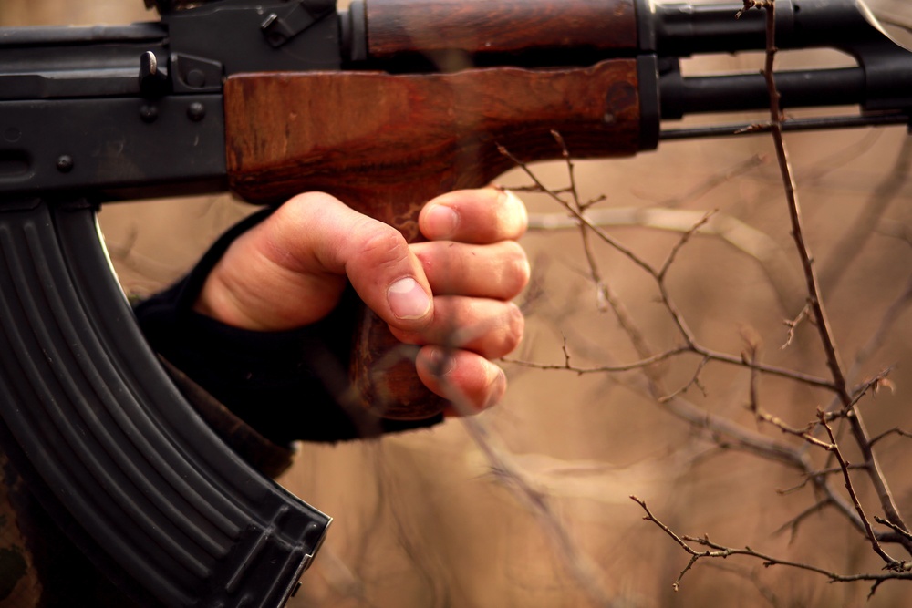 Marines and Romanians patrol and ambush in Platinum Lion exercise