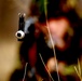 Marines and Romanians patrol and ambush in Platinum Lion exercise