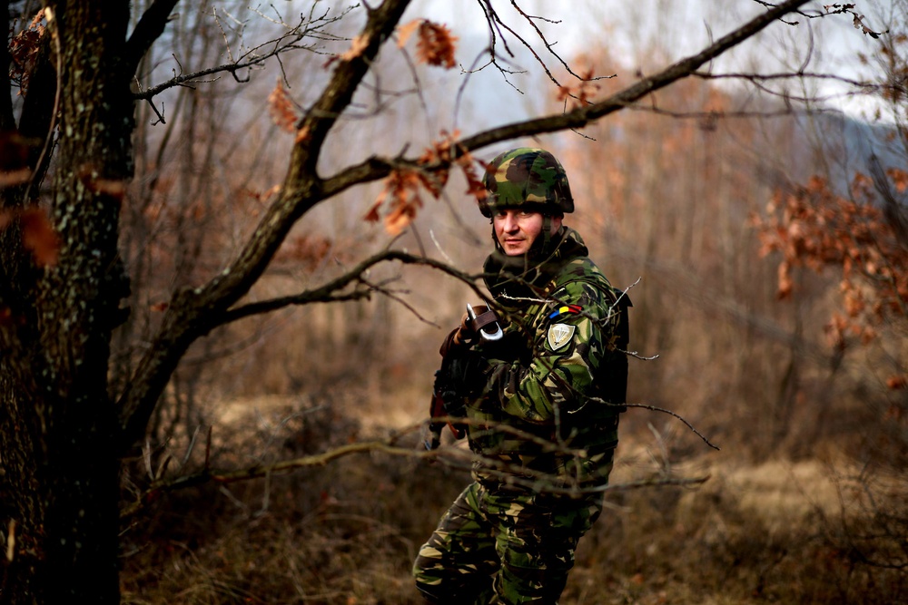 Marines and Romanians patrol and ambush in Platinum Lion exercise