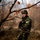 Marines and Romanians patrol and ambush in Platinum Lion exercise