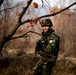 Marines and Romanians patrol and ambush in Platinum Lion exercise